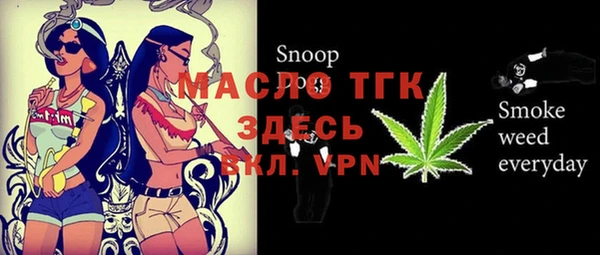 эйфоретик Ельня