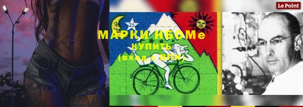 эйфоретик Ельня