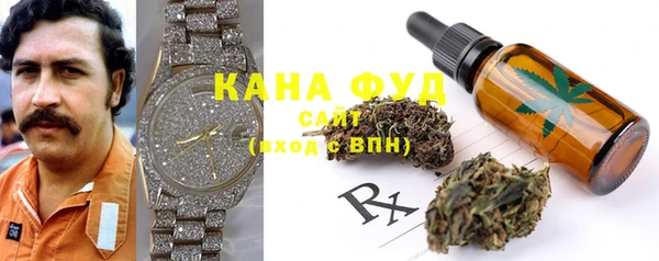 эйфоретик Ельня
