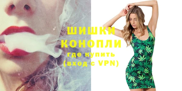 эйфоретик Ельня