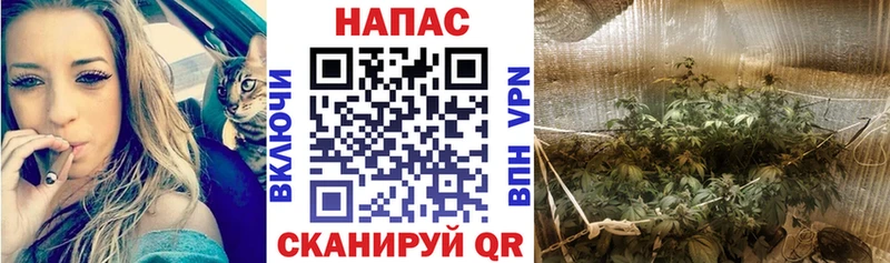 hydra ONION  Волгоград  Каннабис Amnesia 